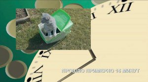 Барсяткин в первый раз на даче