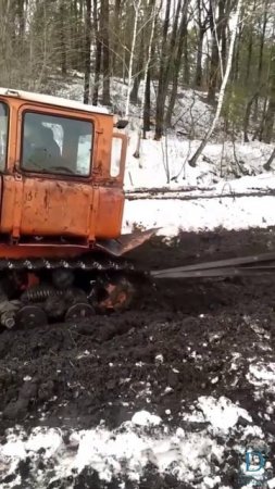 Дт 75 вытаскивает Камаз