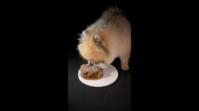 Счастливчик и холодец!) #6