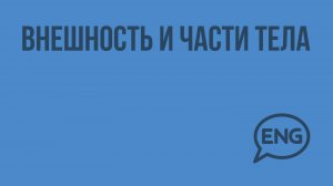 Внешность и части тела. Видеоурок по английскому языку 3 класс