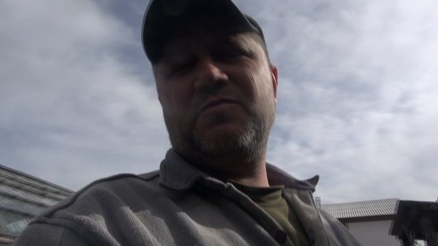 Голуби, овцы, француз, размножение волнистых попугаев.