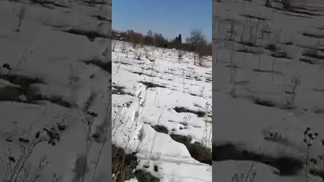 Участок АН "Адреса" смотреть онлайн