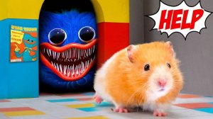 ХОМЯК БЕЖИТ ПО НЕОБЫЧНОЙ ДОРОЖКЕ И ВЫИГРЫВАЕТ мультики для детей