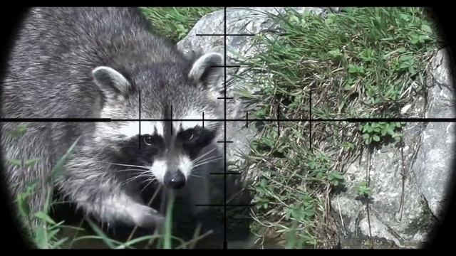 Hide And Seek Short Film | Thriller | Isoné Olivier смотреть онлайн