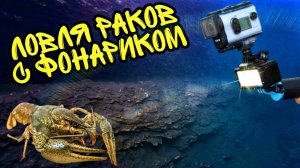 Как ловить раков руками ночью с фонариком? Ловля раков