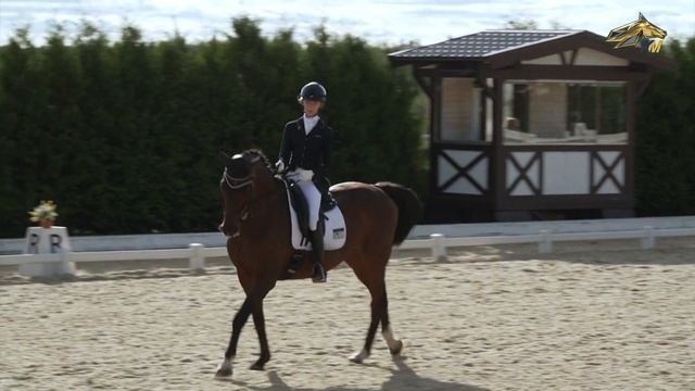 КМ. Подкова. Эфир 01.10.2023 13:55 смотреть онлайн