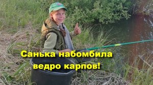 Сашка бомбит КАРПОВ одного за другим!!! #рыбалка #карп #карпнапоплавок #fishing