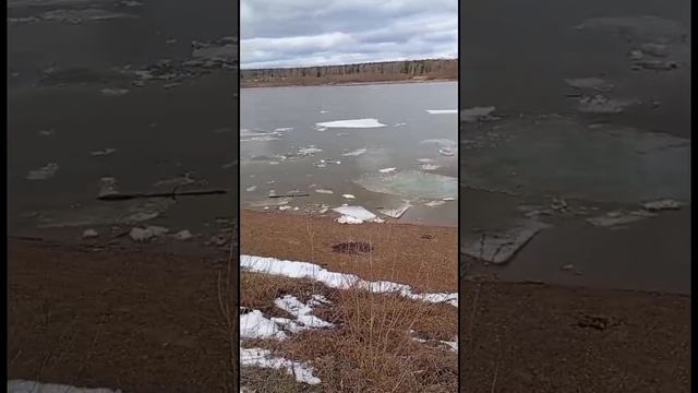 ЛЕДОХОД НА РЕКЕ ВЯТКА В ДЕРЕВНЕ ПЕНЬКИ