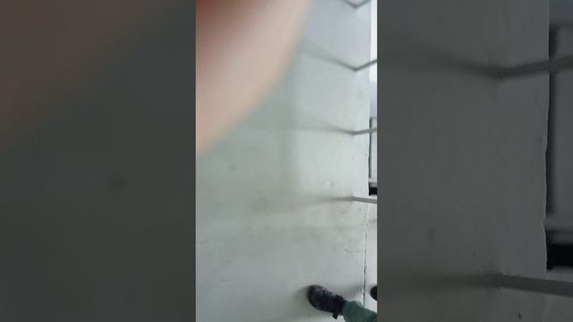 пытался украсть бумагу