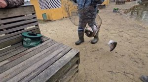 05.04.25 г. Парк отдыха водопад