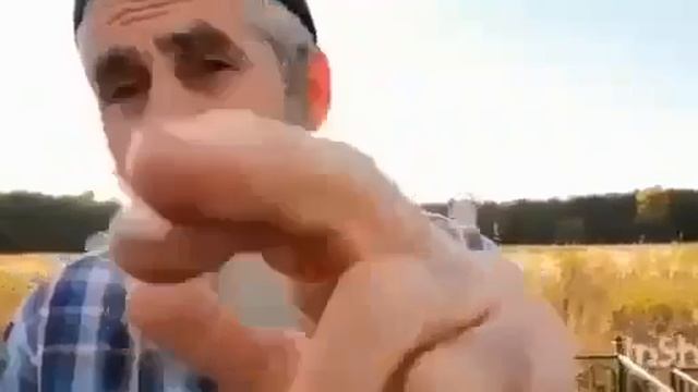 дед прав