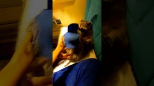 Енот Илюша разгрызает вторую пару тапочек