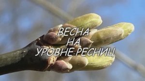 2025_04_ВЕСНА НА УРОВНЕ РЕСНИЦ