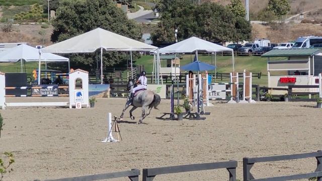 BLENHEIM 1.30 Elizabeth Gardner and Spirit 9 yr old westfalen mare