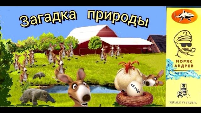 Телефонное мошенничество. Автор - моряк Андрей (из архива)