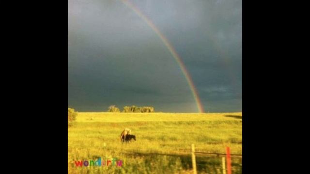 Wonder Phil - Быдло (без мата) смотреть онлайн