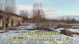 Деревня Заборщина, с арболитовой улицы на село.mp4