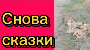 ДЕРЕВЕНСКИЙ ДНЕВНИК. "ЛОШАДИ И КЛЯЧА"
