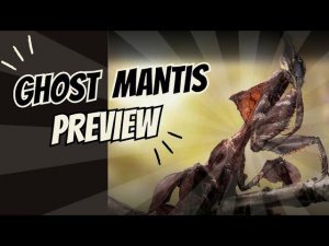 Ghost Mantis Preview - The Ants Underground #theants