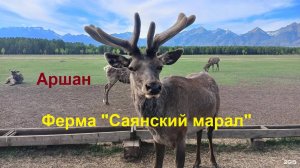 4 Иркутск поездка в п.Жемчужина и Аршан, Ферма "Саянский марал" Тункинский район Бурятия