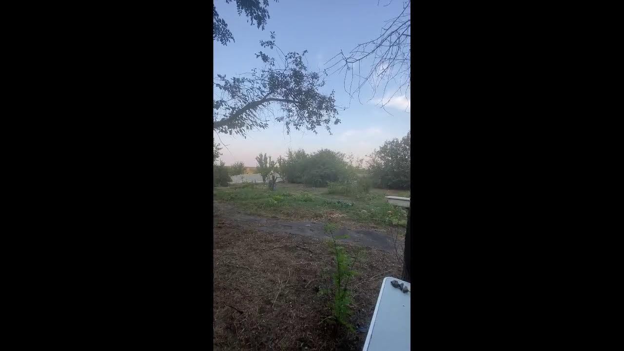 Задержание Дурова
