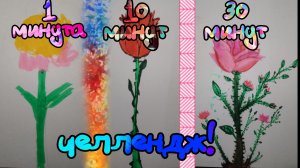 РИСОВАНИЕ ЗА 1 МИНУТУ 10 МИНУТ И 30 МИНУТ ЧЕЛЛЕНДЖ!!!!!!! #челендж #санктум
