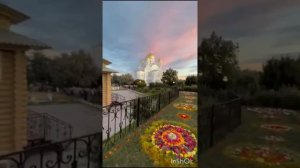 06.04.2025. Посмотрите ! Какая красота !