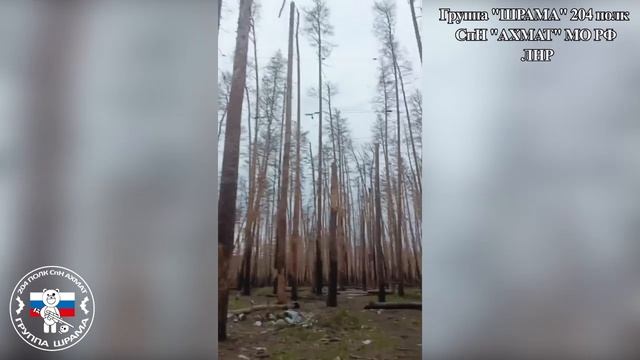 Вражеская «птица» была сбита выстрелом из стрелкового оружия, попавшим в аккумулятор дрона.