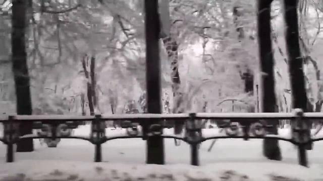 Киев. Мариинский парк зимой 2019 смотреть онлайн