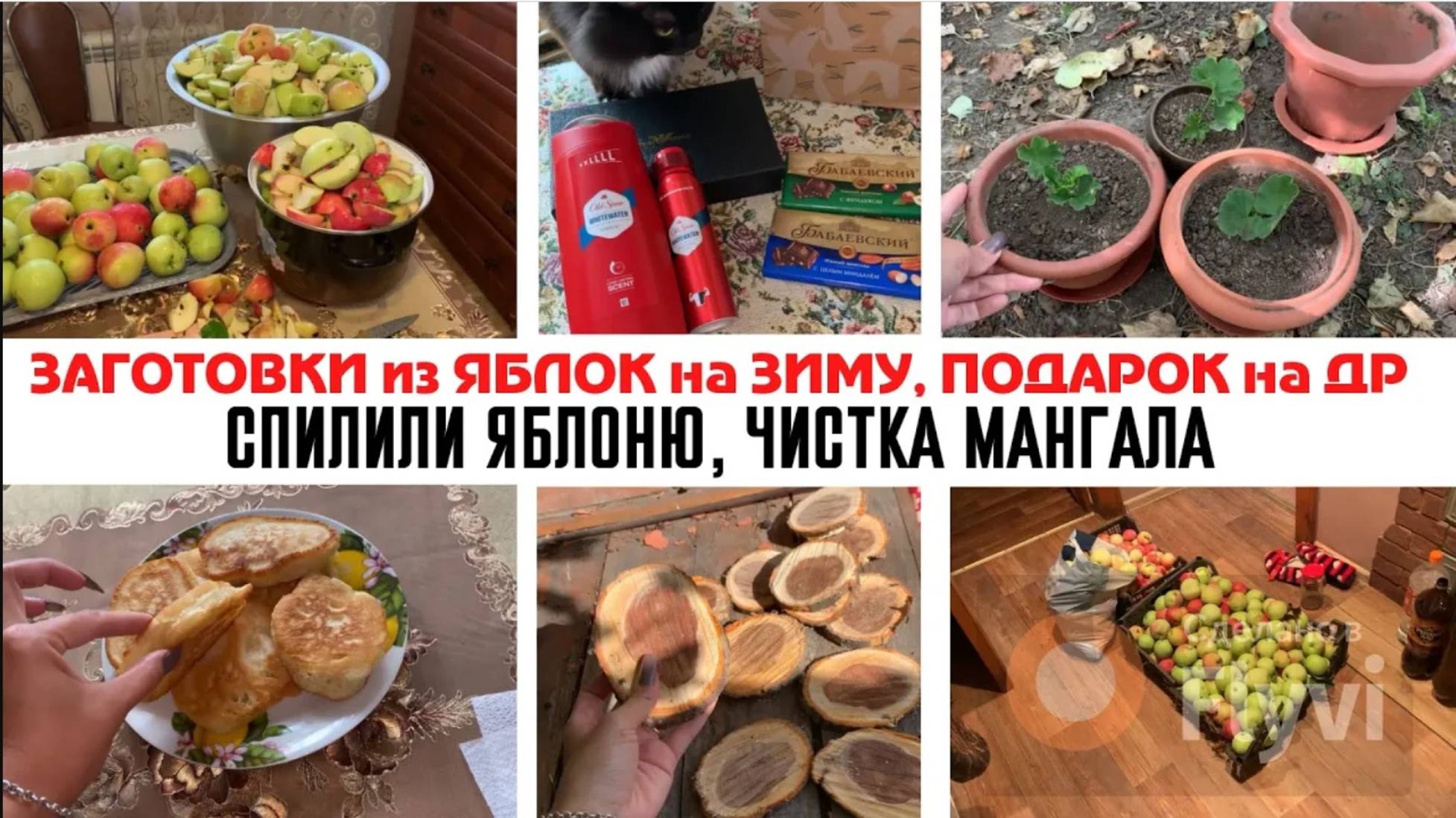 ЗАГОТОВКИ из ЯБЛОК на ЗИМУ🔥 РАЗМНОЖЕНИЕ ГЕРАНИ💕СПИЛИЛИ ЯБЛОНЮ✅ ЧИСТКА МАНГАЛА 🙃ПОДАРОК на ДР😻