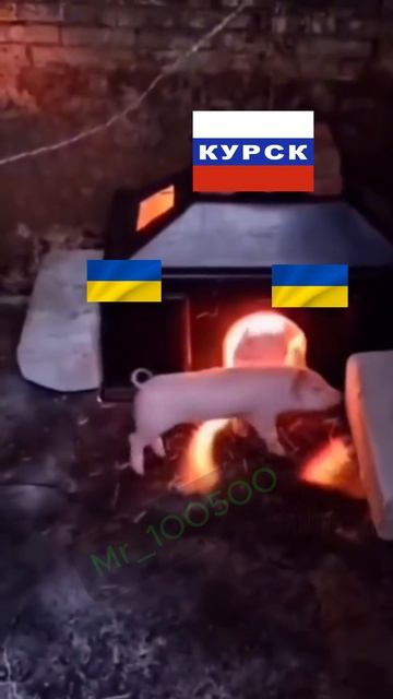 Штурм Курска смотреть онлайн