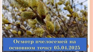 Осмотр пчелосемей на основном точке 05.04.25