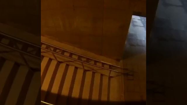 Она напугала много людей!!!!Собака тарантул!!! смотреть онлайн