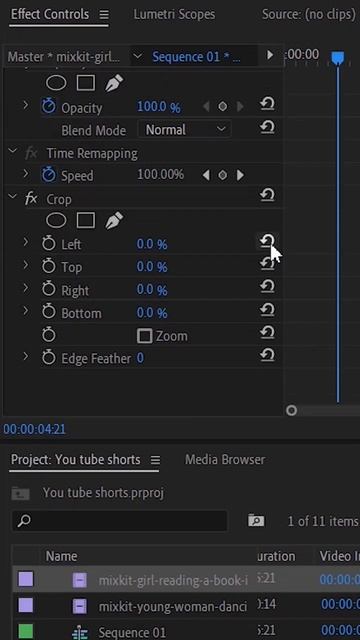 How To Crop Video In premiere pro #shorts #premiereproediting