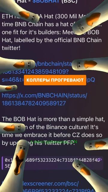 cryptonovus_CN