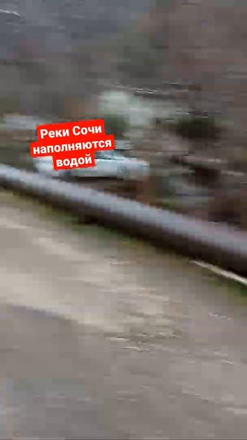 Реки Сочи наполняются водой #shorts смотреть онлайн