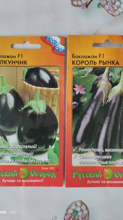 Сеем на рассаду баклажаны