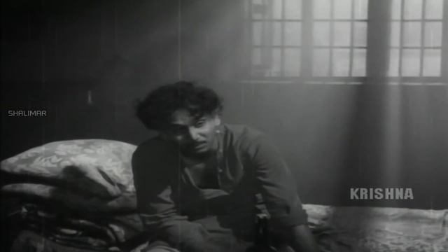 Devadasu Movie || Cheliyaledu Chelimiledu Video Song || Akkineni Nageswara Rao, Savitri смотреть онлайн