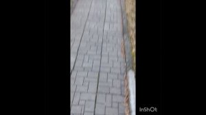 Ураган в Горном Алтае