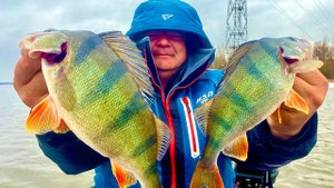 Эти кони радуют сердце! Рыбалка на спиннинг 2025