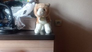 мои игрушки плюшевые