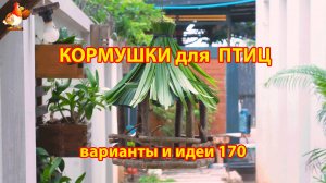 Кормушка для птиц своими руками как сделать пошагово  (170) 🪚🪛🔨 Идеи для дачи и сада❣️