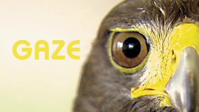 Let Go With The Flow смотреть онлайн