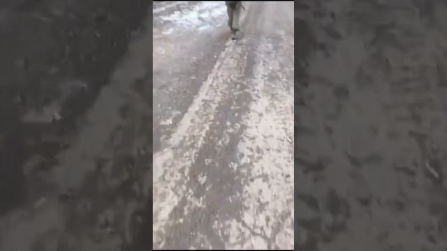 С.В.О.ИИ**Zвездная Лига**Барданисэд.