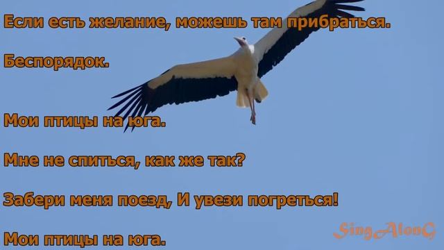 Serpo - Мои птицы на юга I ТЕКСТ ПЕСНИ , ПОПРОБУЙ ПОДПЕВАТЬ