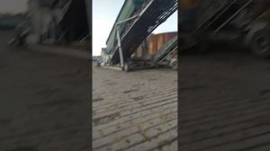 Выгрузка сахарной свеклы ( БУМ)