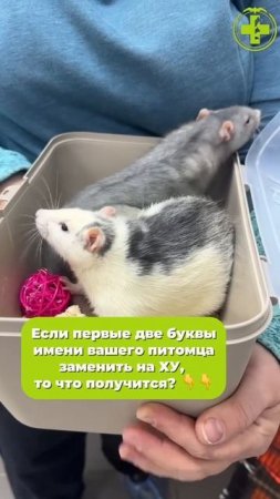 Что получилось)