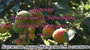 Черенки В.Железова-Л.Чернобаева. Шедевры за полцены. Серия 1.