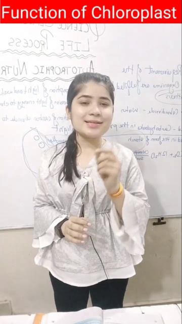 Function of Chlorophyll class 10 Science life processes#viral #scienceclass10ncert #classs10science