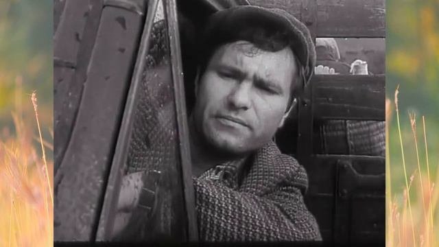 Дорожная